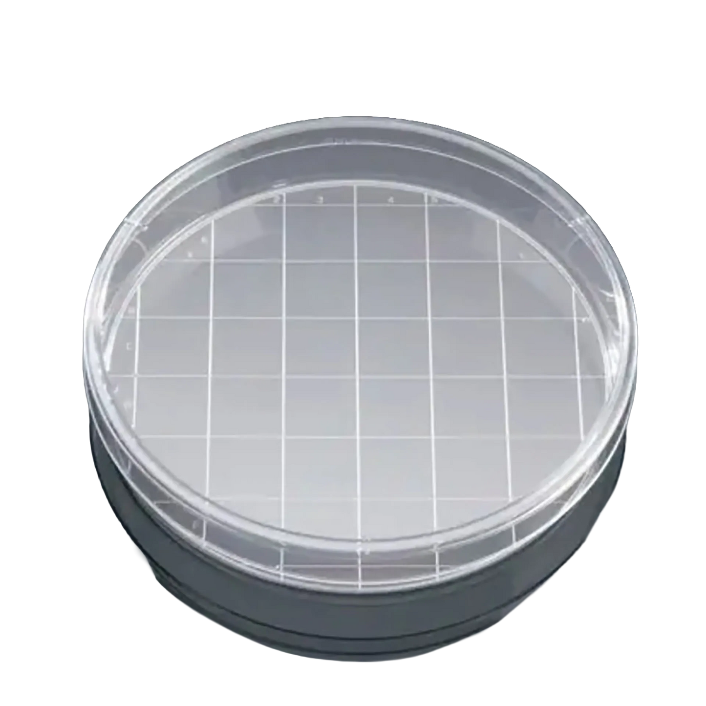 Round Gridded Search Dish with Lid,"Clear round dish with lid and white grid insert"