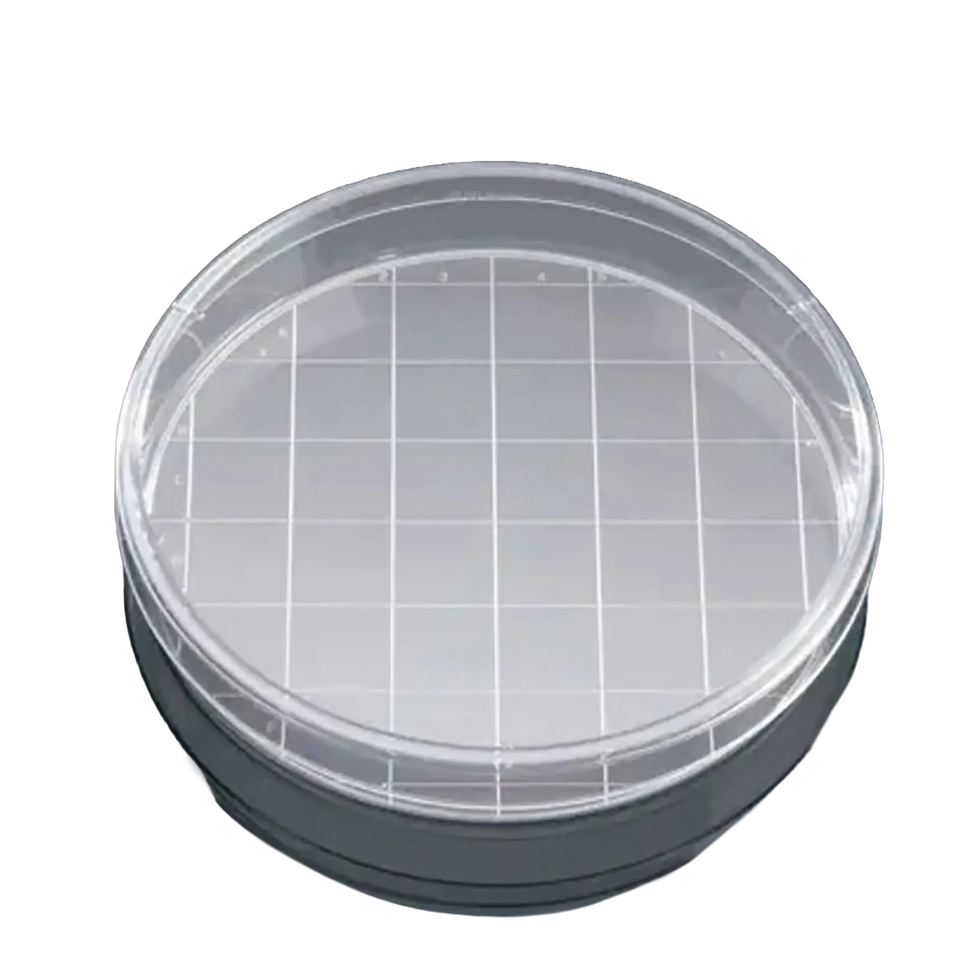 Round Gridded Search Dish with Lid,"Clear round dish with lid and white grid insert"