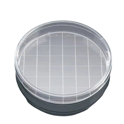 Round Gridded Search Dish with Lid,"Clear round dish with lid and white grid insert"