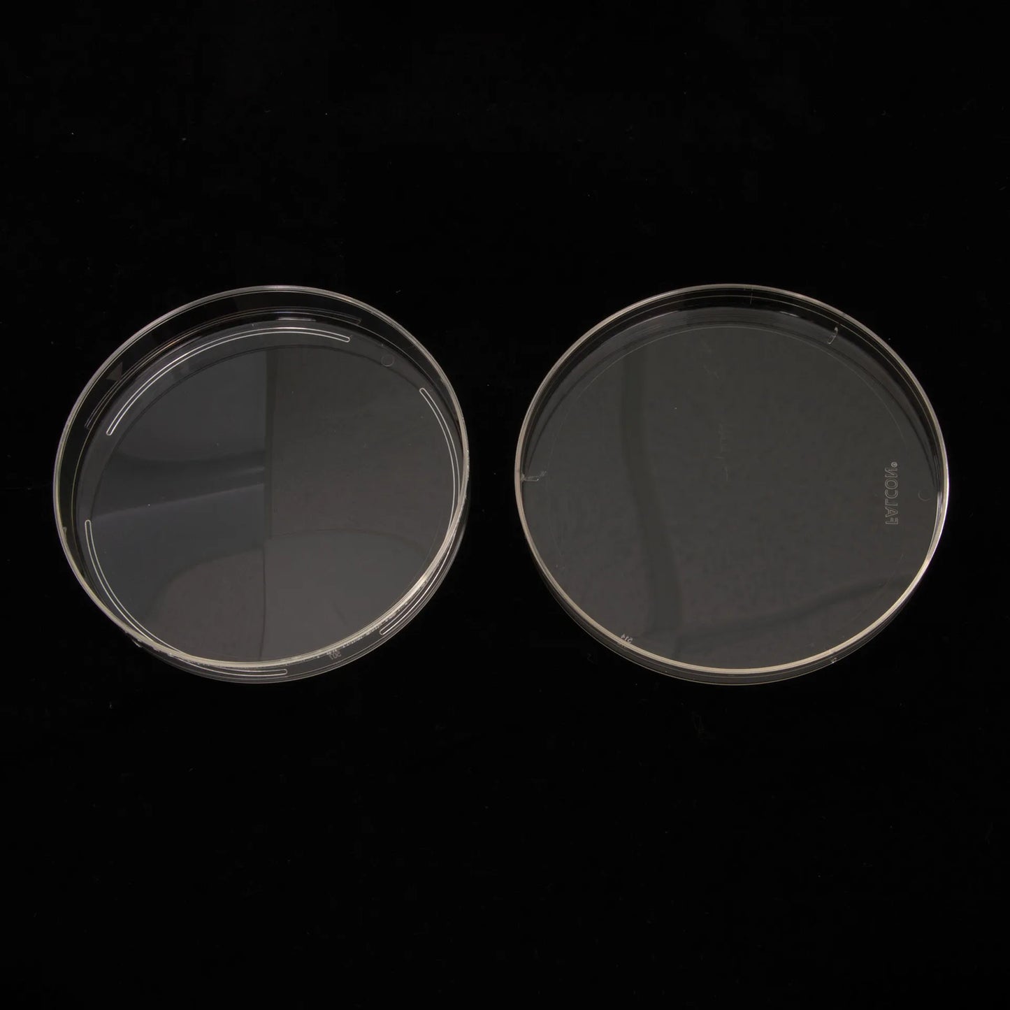 Petri Dish 100x15mm,"Two clear petri dish halves side by side"