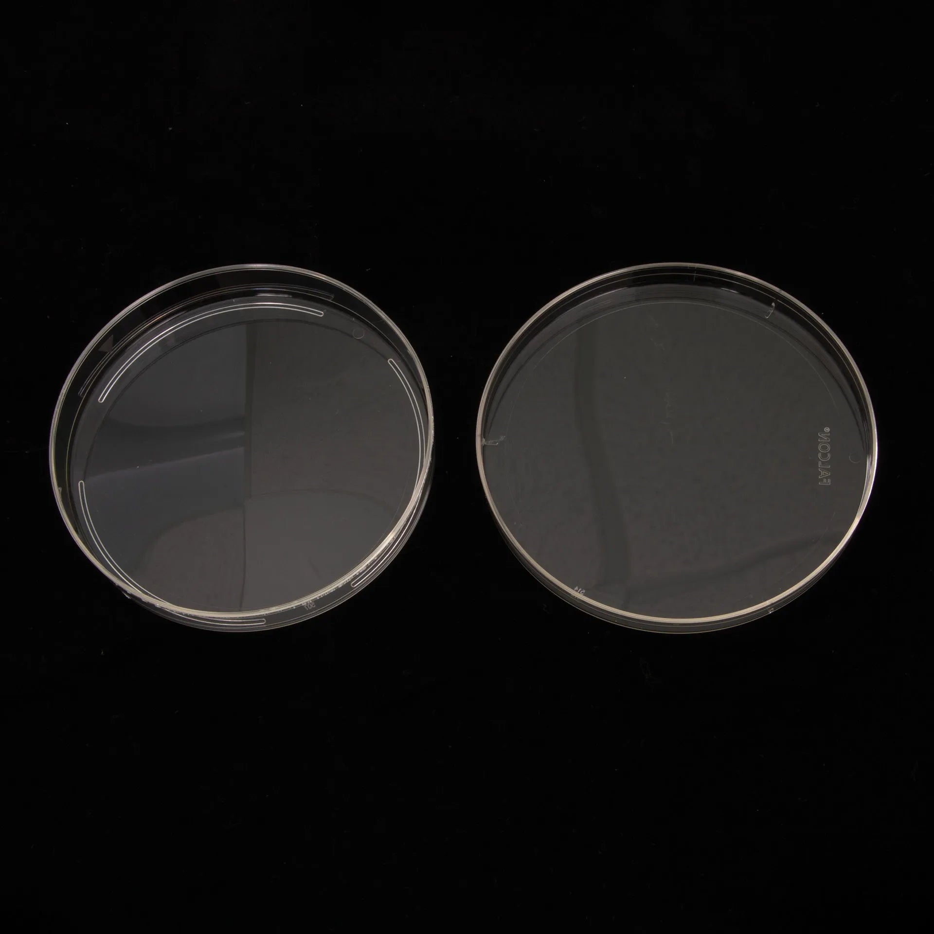 Petri Dish 100x15mm,"Two clear petri dish halves side by side"
