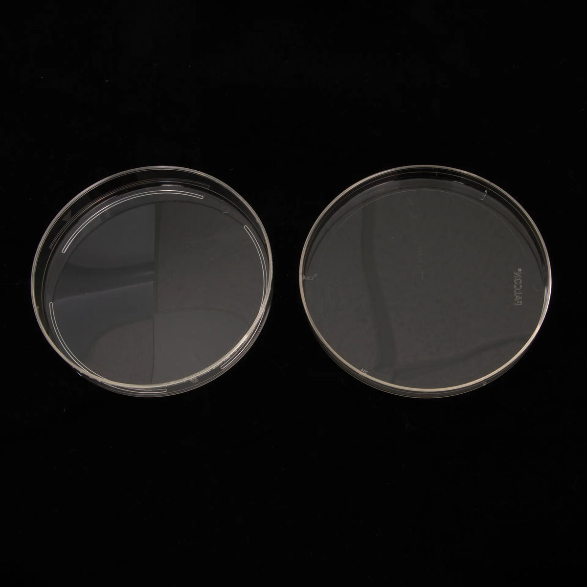 Petri Dish 100x15mm,"Two clear petri dish halves side by side"