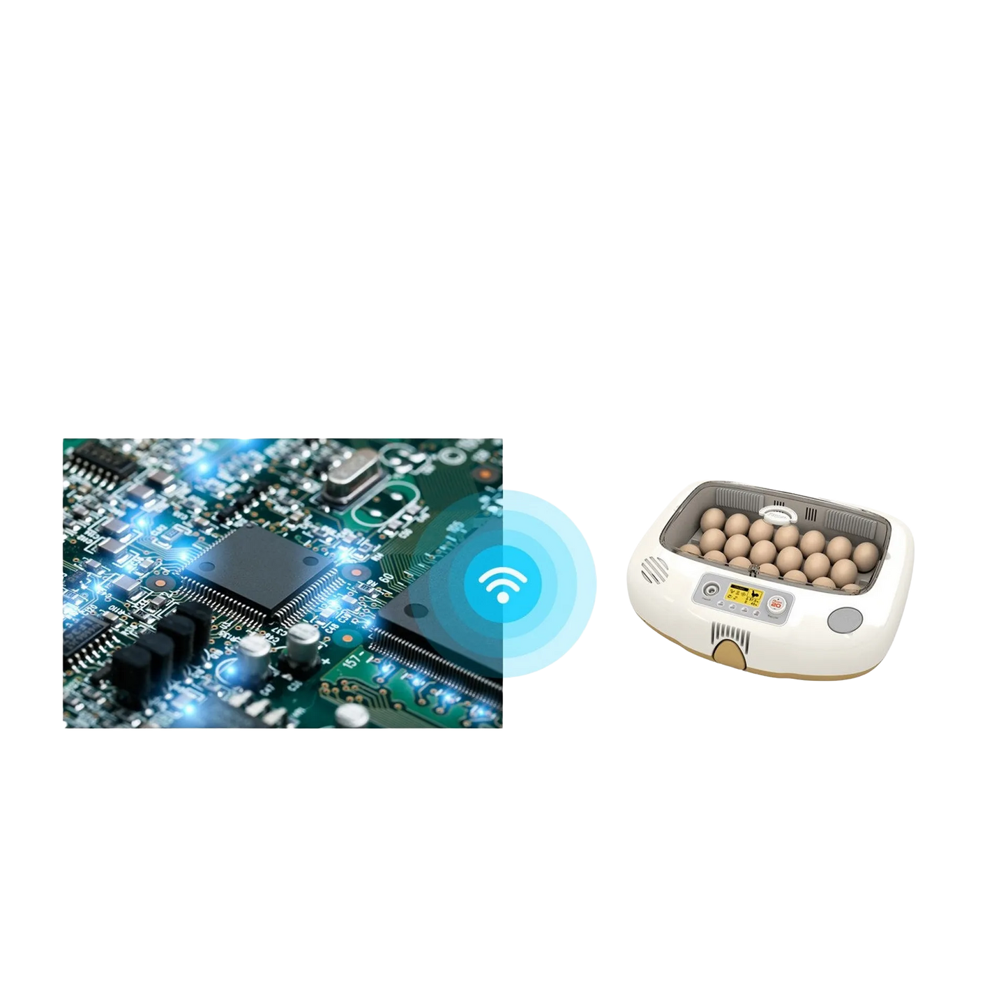 Pro-20 DO Incubator by Rcom USA