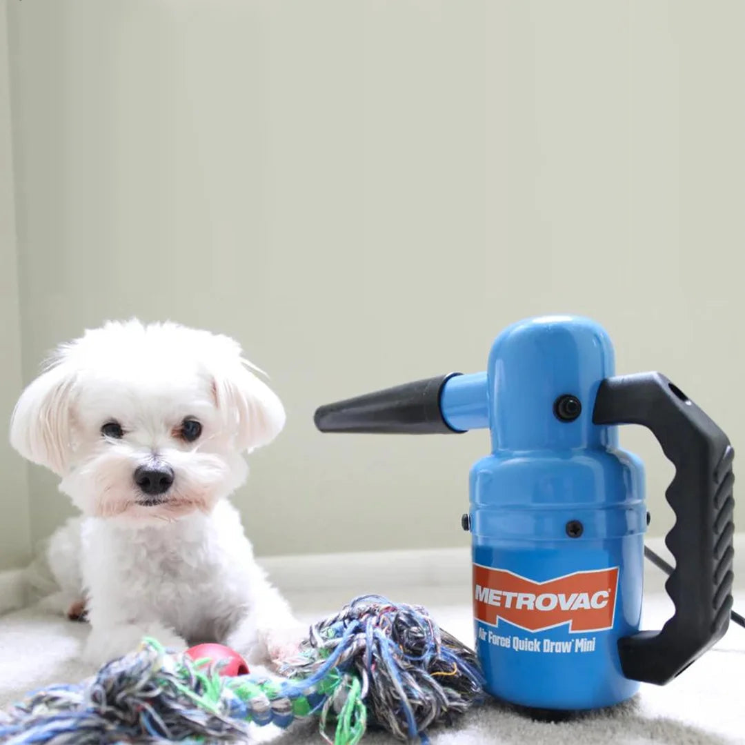 Quick Draw Compact Dog Dryer Mini Variable Speed,"Blue handheld pet dryer with black nozzle beside white dog"