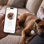 BuddyID® BuddyBadge® Collar Tag with Registration
