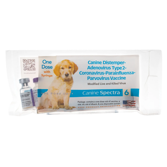 Canine Spectra® 6 Dog Vaccine,"Box package with two vials and syringe visible"