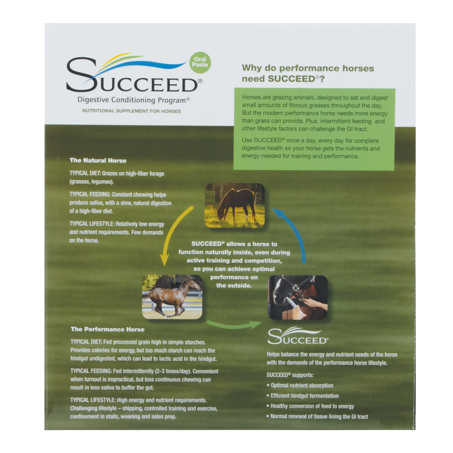 SUCCEED® DCP,"Product brochure with horse photos and oral paste syringe graphic"