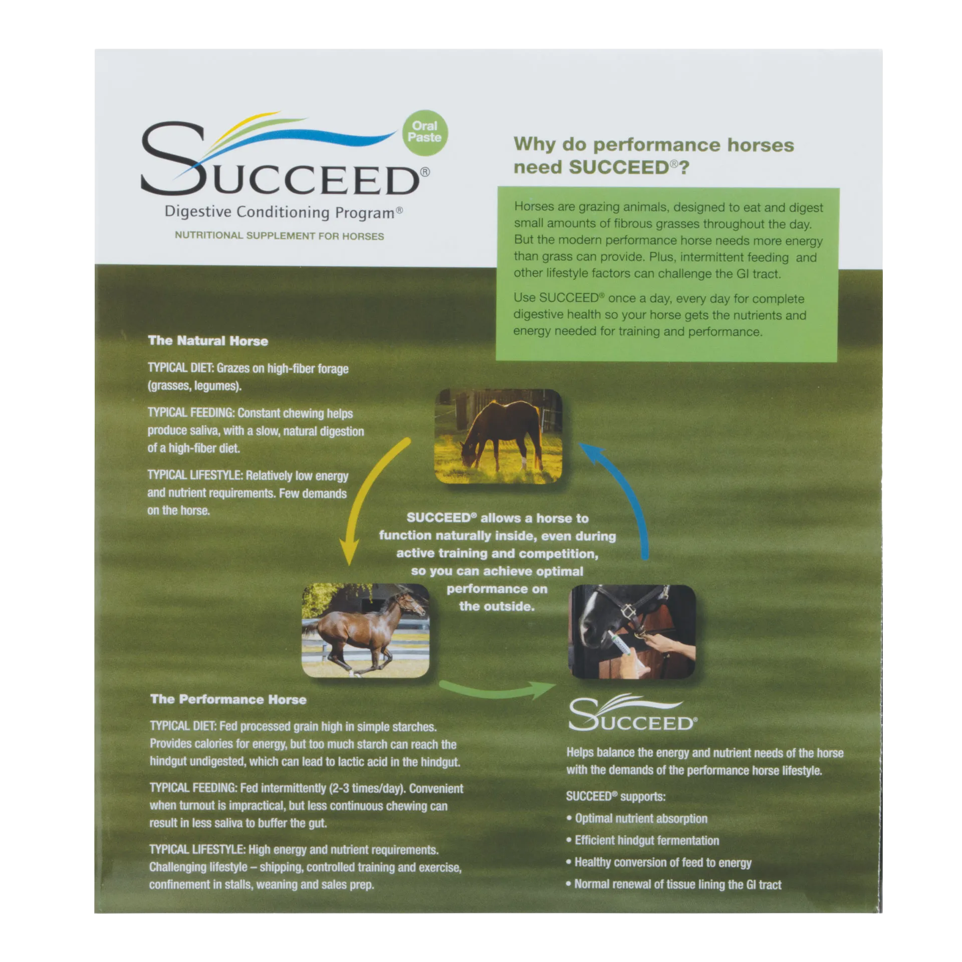 SUCCEED® DCP,"Product brochure with horse photos and oral paste syringe graphic"