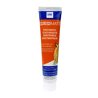 BrushMate ToothPaste,"Toothpaste tube with orange and blue label and dog image"