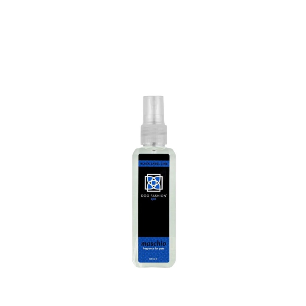 Maschio Fragrance