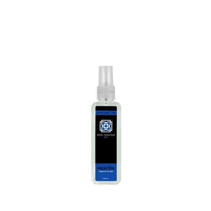 Maschio Fragrance