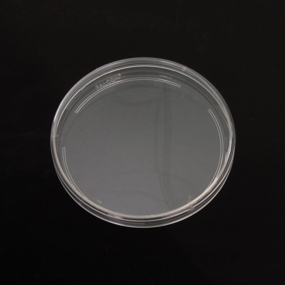 Petri Dish 100x15mm,"Clear round petri dish with lid, top view"
