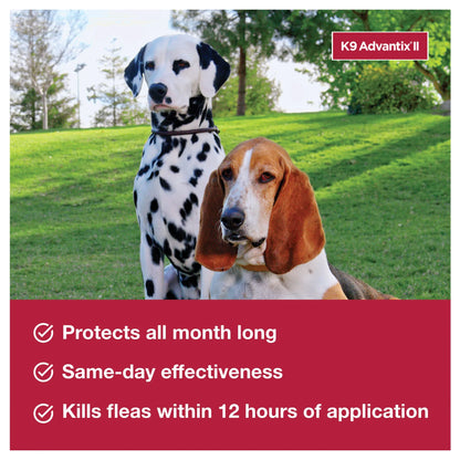 K9 Advantix™ II,"Dalmatian and brown hound sitting on grass outdoors"