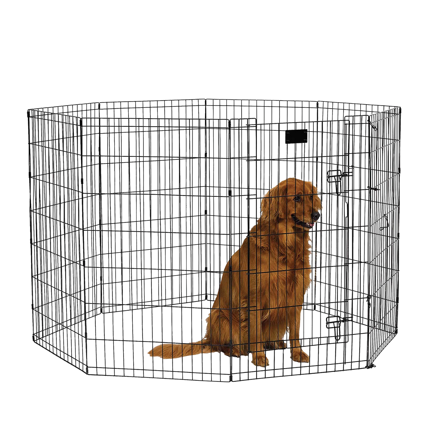 Midwest® Exercise Pen with Walk-Thru Door,"Black wire exercise pen with walk-thru door and dog inside"