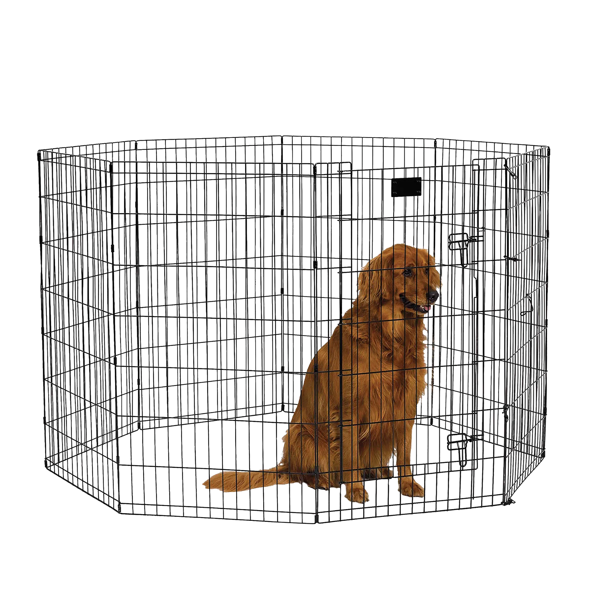 Midwest® Exercise Pen with Walk-Thru Door,"Black wire exercise pen with walk-thru door and dog inside"