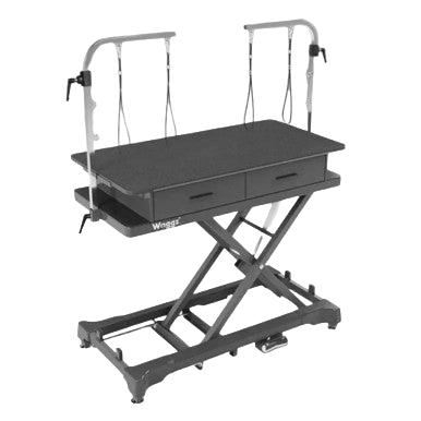 "50"" Dog Grooming 908P Electric Table with Drawer by Waggz","Electric grooming table with drawer and overhead arm"