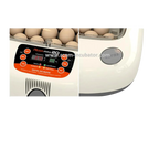 Max-20 Incubator by Rcom USA
