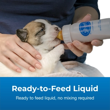 PetAg Goat's Milk Esbilac Puppy Milk Replacer Liquid for Puppies,"Puppy being bottle fed milk replacer"