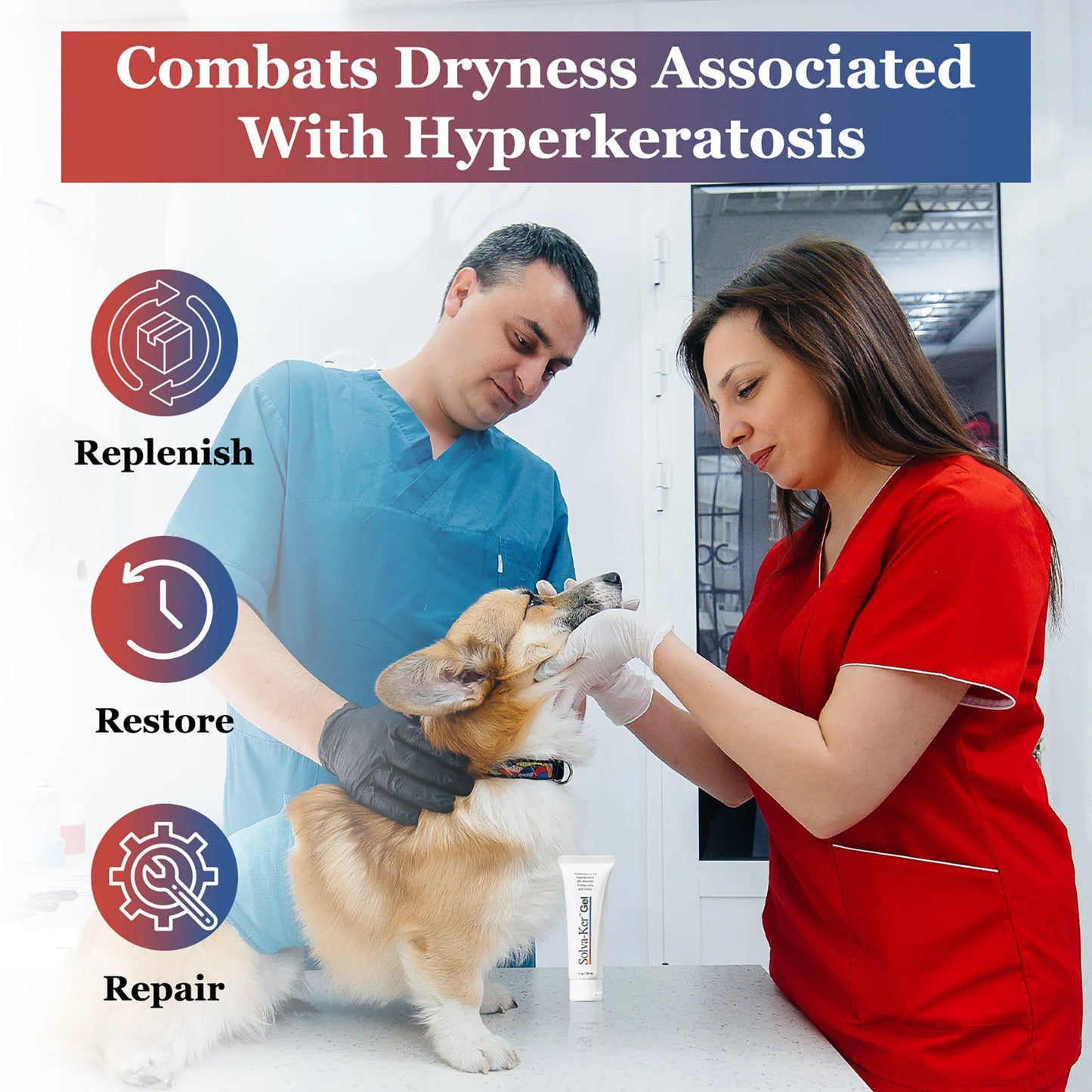 Solva-Ker™ Gel,"Tube of gel on counter beside veterinarians examining a dog"