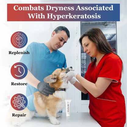 Solva-Ker™ Gel,"Tube of gel on counter beside veterinarians examining a dog"