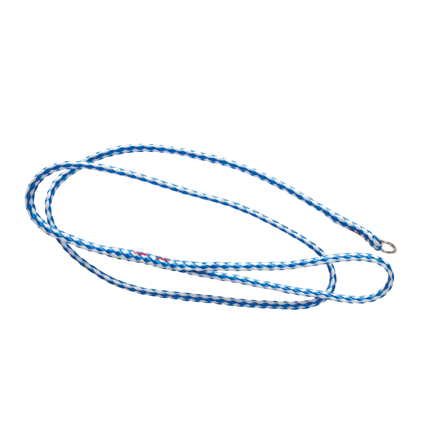 Poly Braided Leads,"Blue and white braided lead with metal loop end"