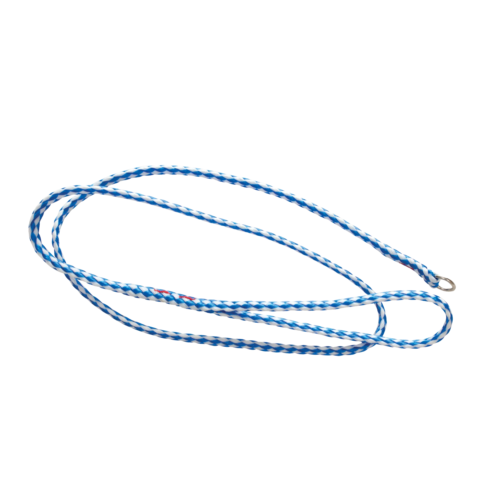Poly Braided Leads,"Blue and white braided lead with metal loop end"