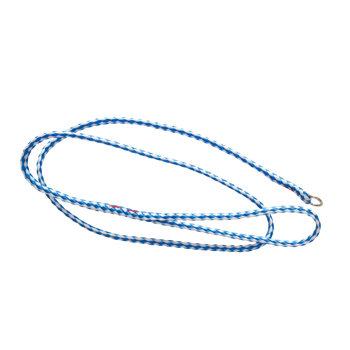 Poly Braided Leads,"Blue and white braided lead with metal loop end"