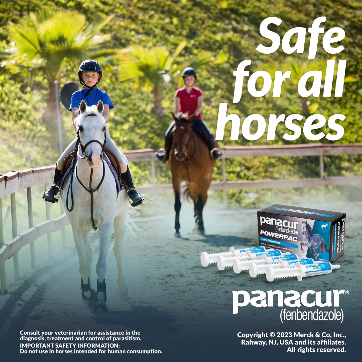 Panacur® PowerPac Paste Horse Dewormer,"Five paste syringes beside product box with horseback riding scene"