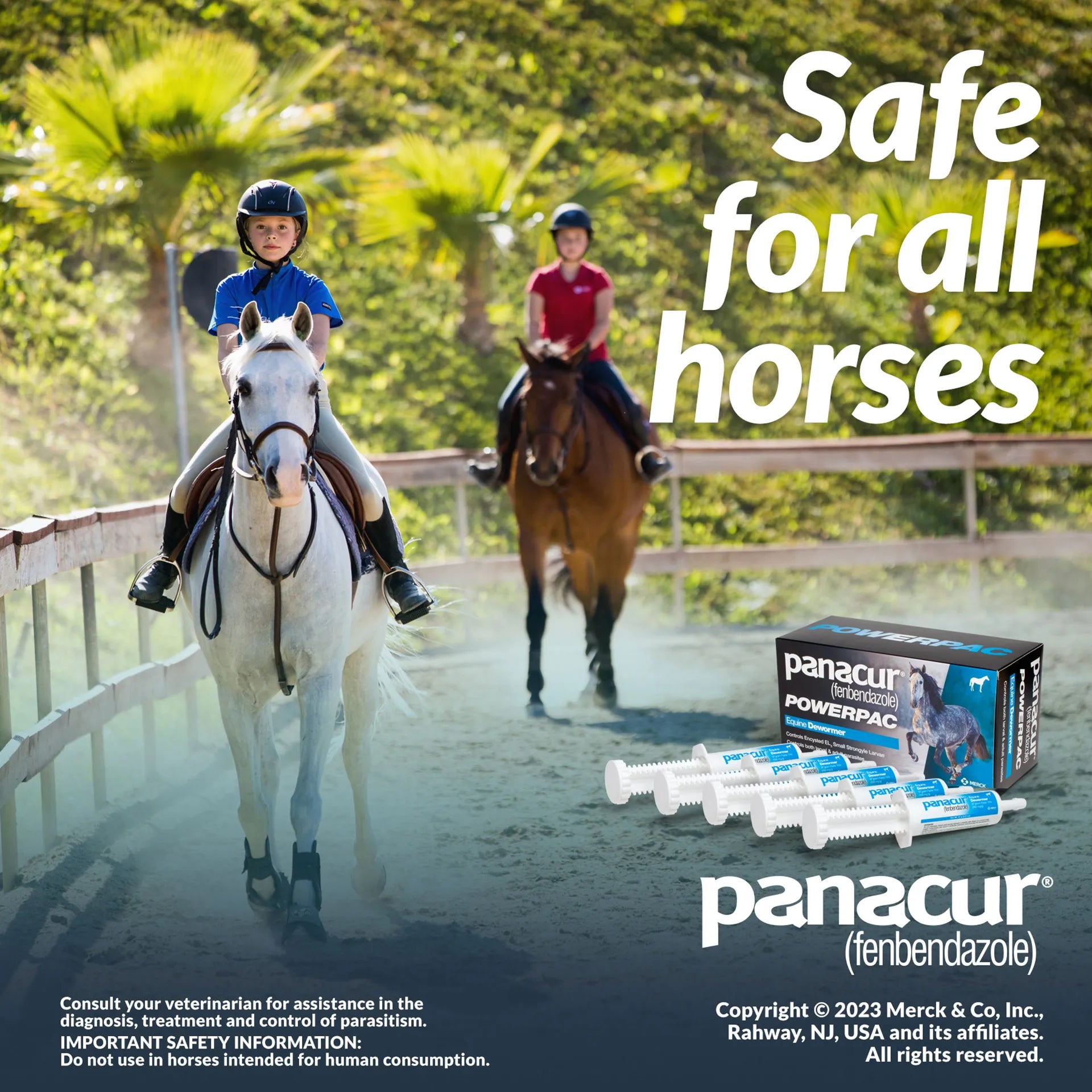 Panacur® PowerPac Paste Horse Dewormer,"Five paste syringes beside product box with horseback riding scene"