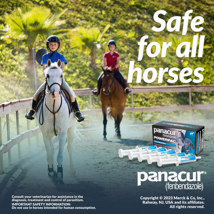 Panacur® PowerPac Paste Horse Dewormer,"Five paste syringes beside product box with horseback riding scene"