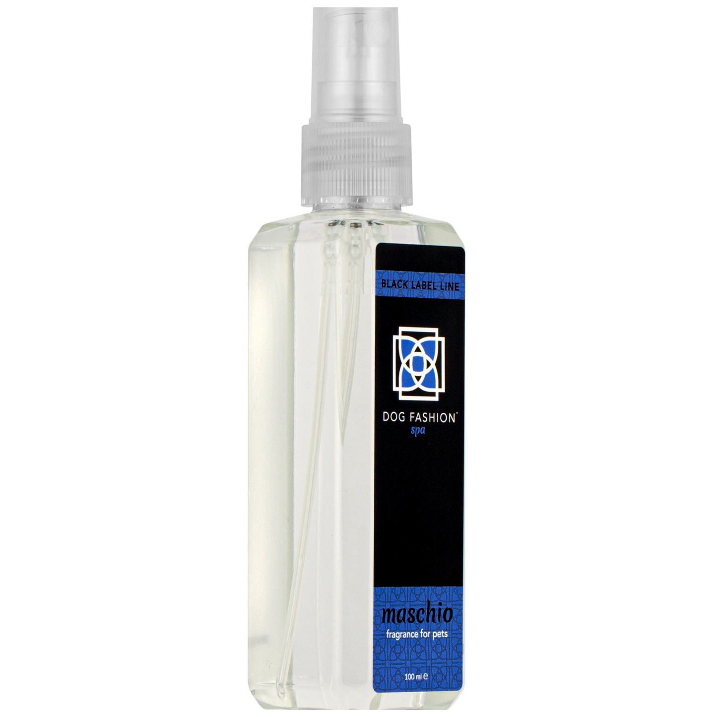Maschio Fragrance