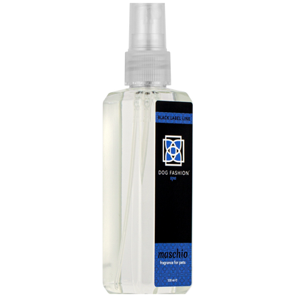 Maschio Fragrance