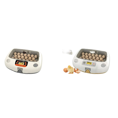 Max-20 DO Incubator by Rcom USA