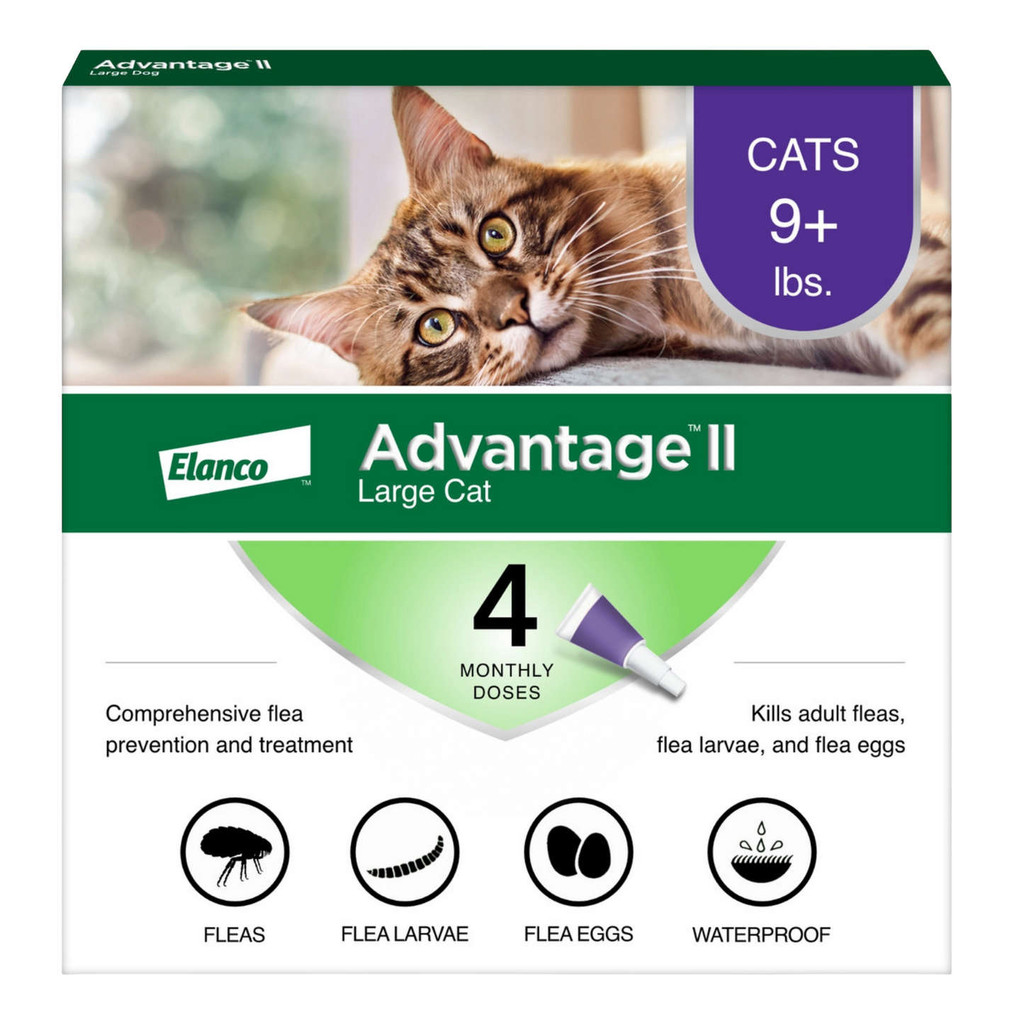 Advantage™ II for Cats,"Front of box with tabby cat and purple applicator tip"