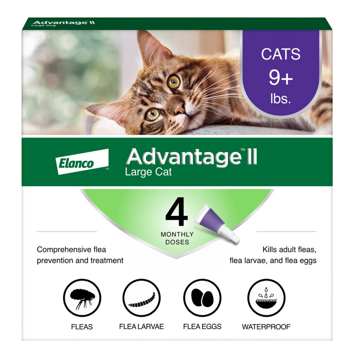 Advantage™ II for Cats,"Front of box with tabby cat and purple applicator tip"