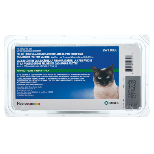 Nobivac® Feline 1-HCPCh+FeLV,"Front package view in clear blister pack with cat image"