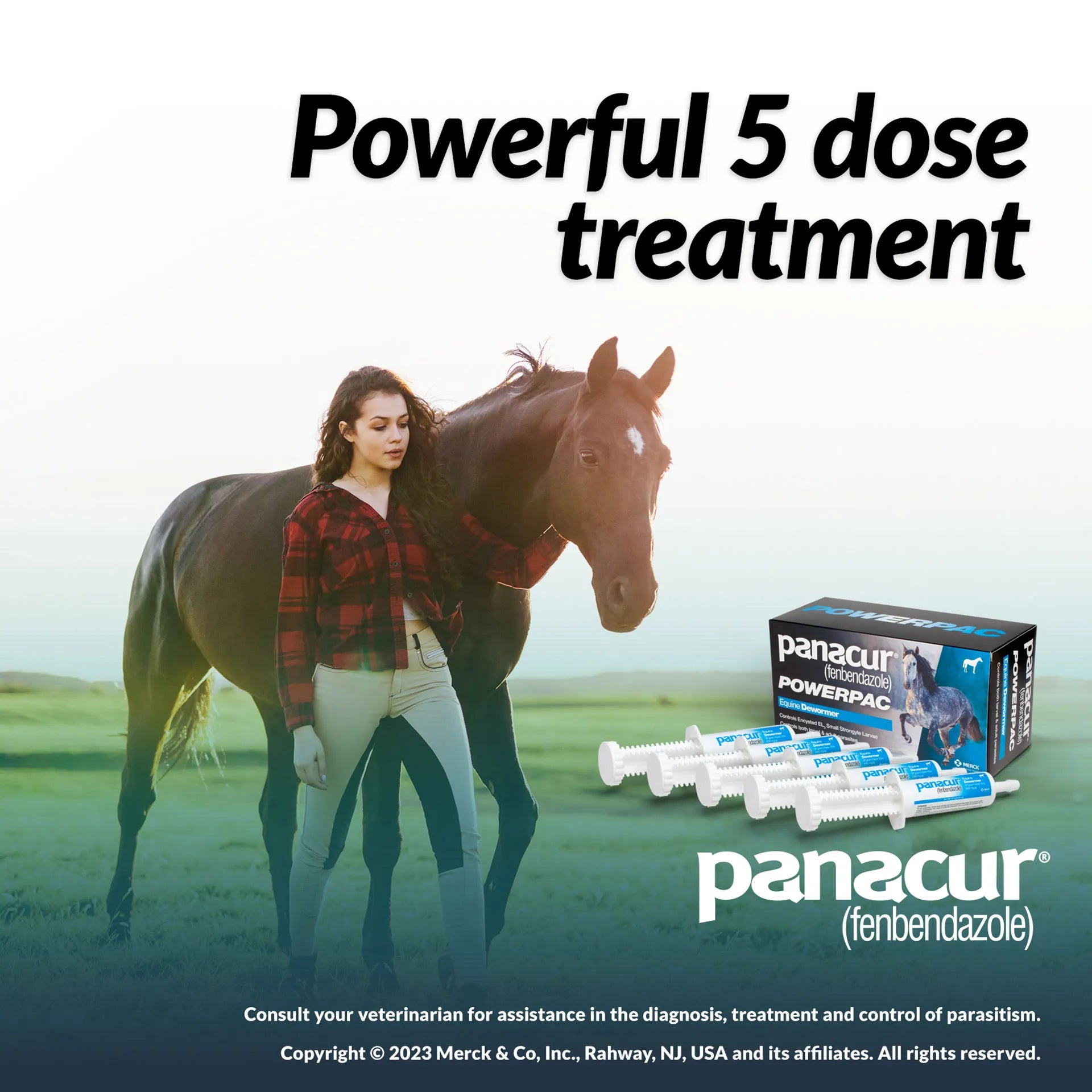 Panacur® PowerPac Paste Horse Dewormer,"Box with five oral paste syringes beside horse in field"