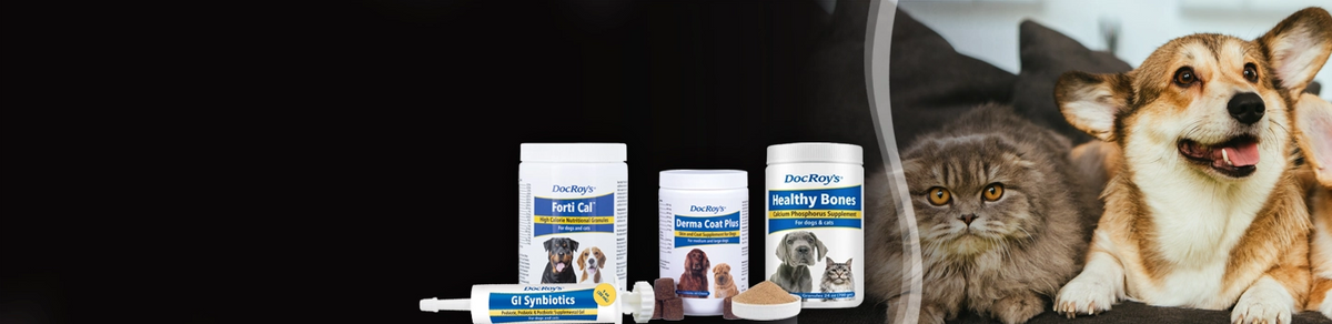 Save Big on Doc Roy's