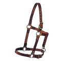 Weanling Halter,"Brown halter with metal buckles and rings"