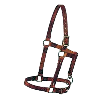 Weanling Halter,"Brown halter with metal buckles and rings"