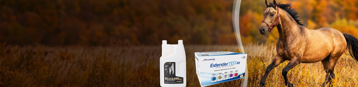 Buy BotuMix Stallion Plus