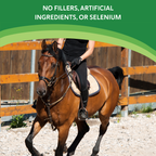 Health E™,"Rider on brown horse in outdoor arena"