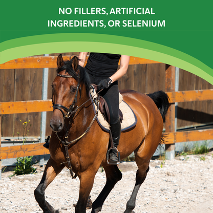 Health E™,"Rider on brown horse in outdoor arena"