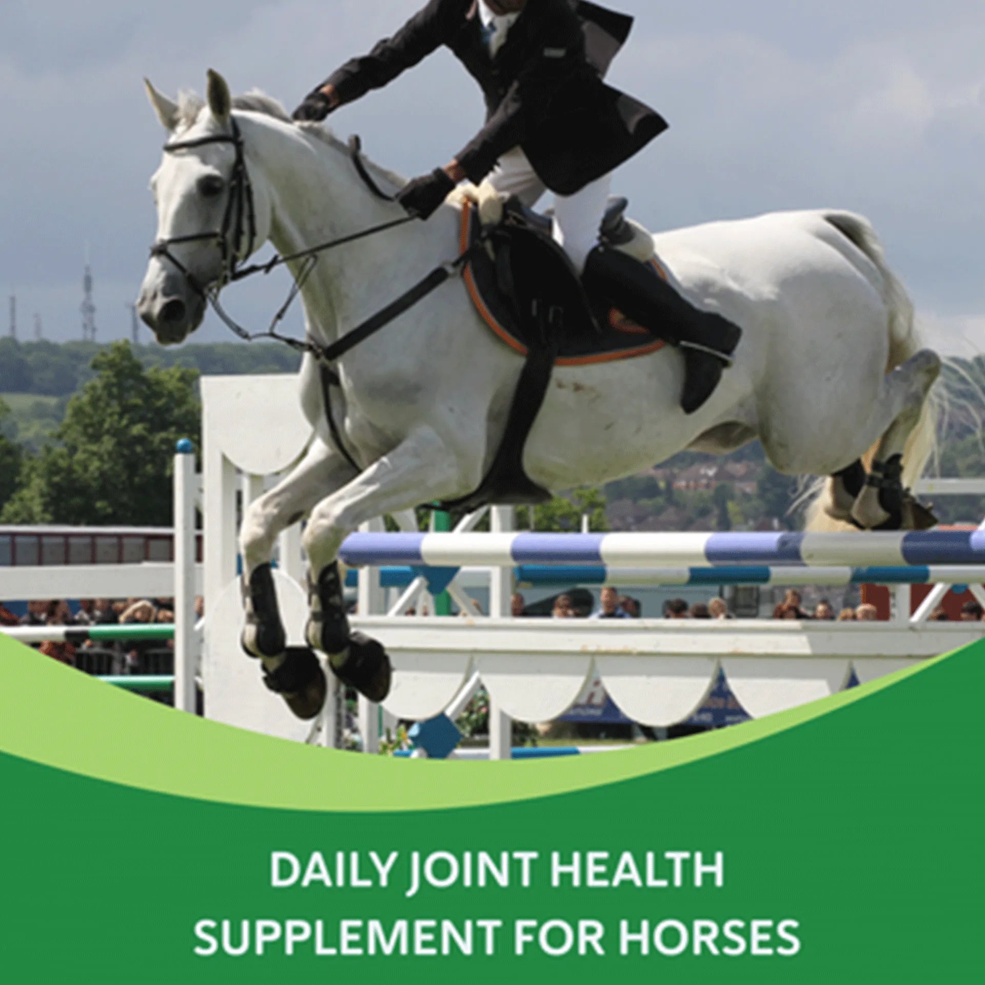Comfort Quik™,"White horse and rider jumping over obstacle"