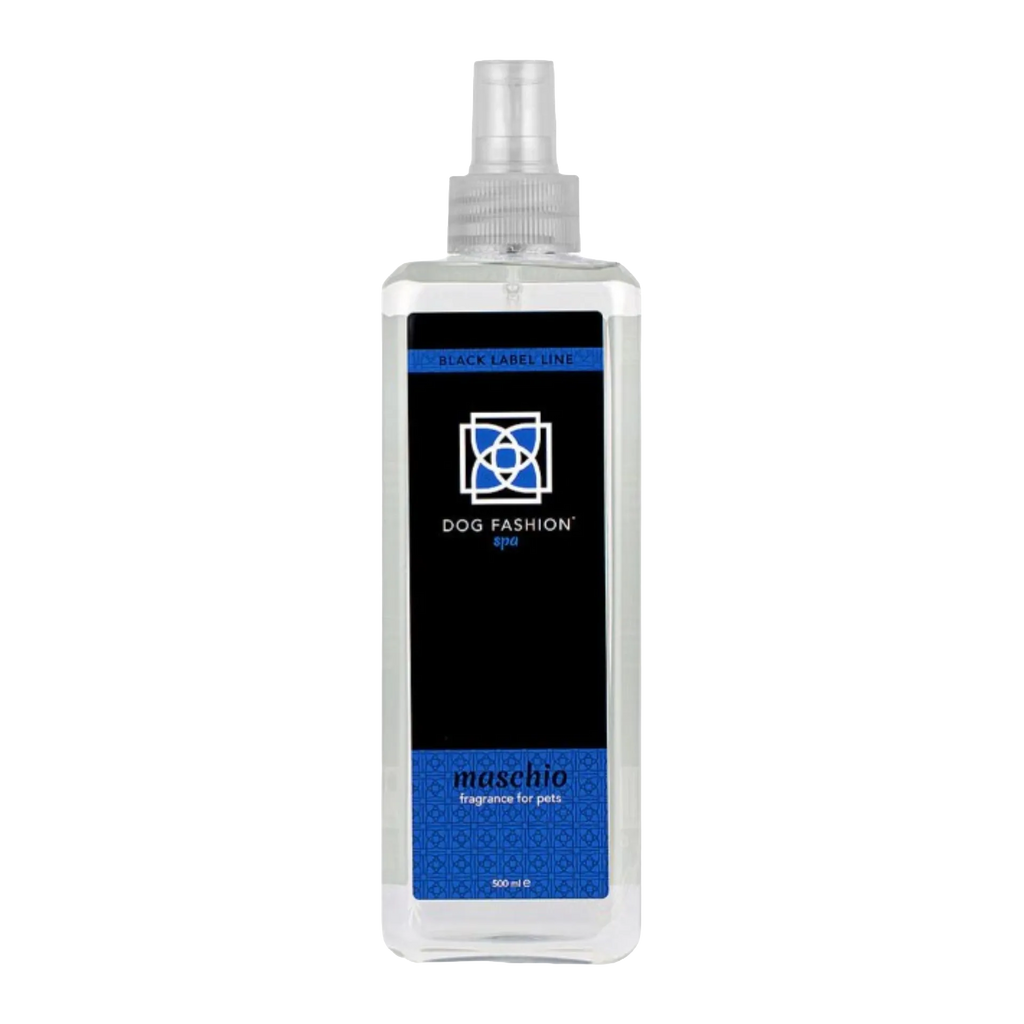 Maschio Fragrance