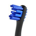 BrushMate Premium Toothbrush,"Close-up of toothbrush head with blue bristles and black handle"