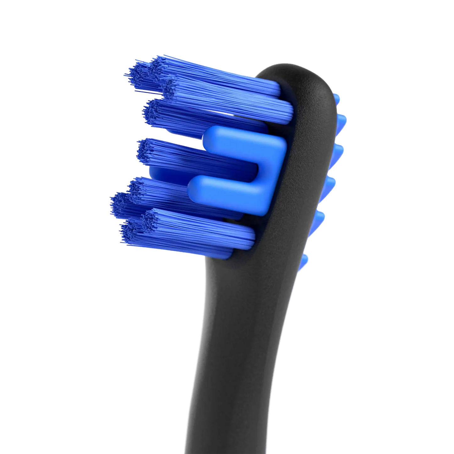 BrushMate Premium Toothbrush,"Close-up of toothbrush head with blue bristles and black handle"