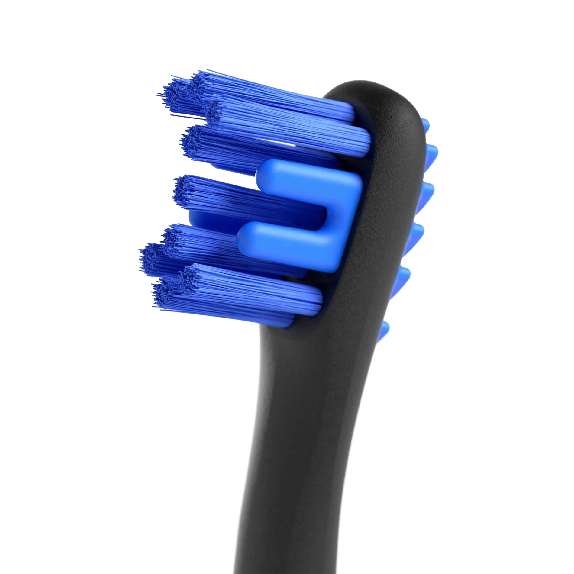 BrushMate Premium Toothbrush,"Close-up of toothbrush head with blue bristles and black handle"