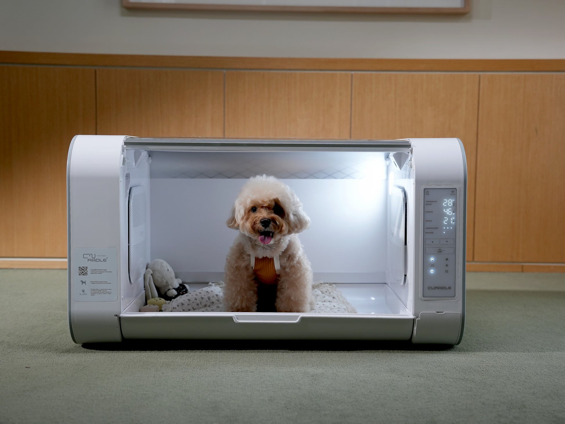 ICU 120 Bundle with 5L Veterinarian Oxygen Concentrator by Rcom USA,"White pet oxygen chamber with clear front door and side control panel"