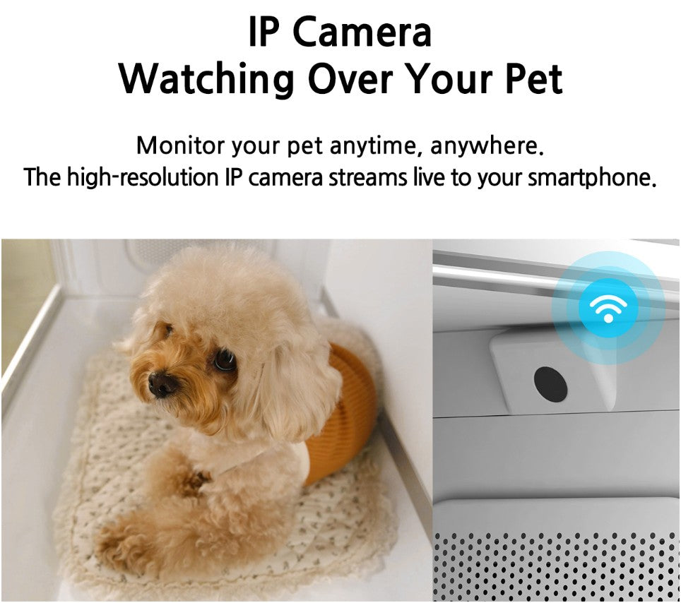 ICU 120 Bundle with 5L Veterinarian Oxygen Concentrator by Rcom USA,"ICU enclosure interior with small dog and built-in camera detail"